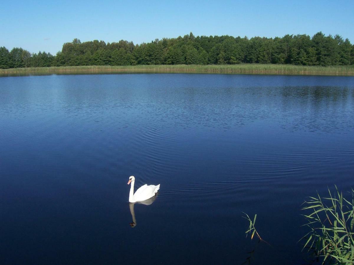 Domwigierski Pl -Jeziorki -Gr- Comfort-Ferienhaus-Polen - Wlasna Linia Brzegowa I Sauna Wysoki Most  Εξωτερικό φωτογραφία